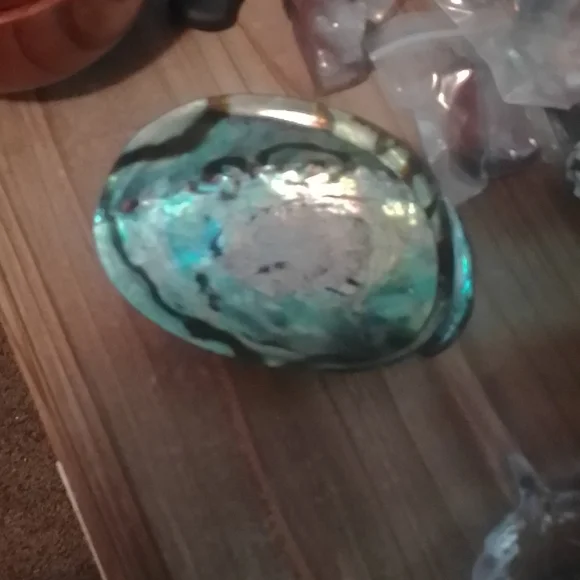 Opalized Abalone shell - Picture 5 of 5